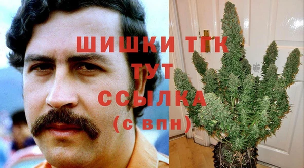 гидра Бугульма